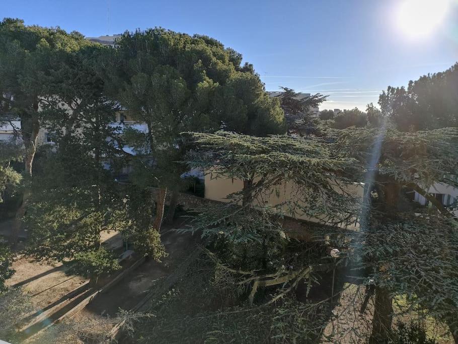 Beau Duplex Vue Mer - Terrasse - Garage - Wifi Sète Exterior foto